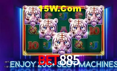 Experiência VIP Bet885